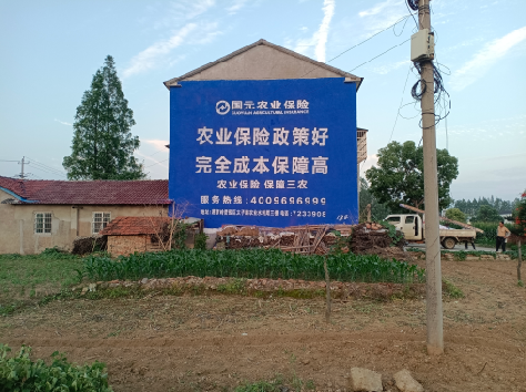  定远墙体广告的优劣势你知道吗？