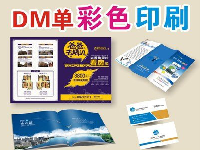  定远单页印刷，色彩搭配简单。